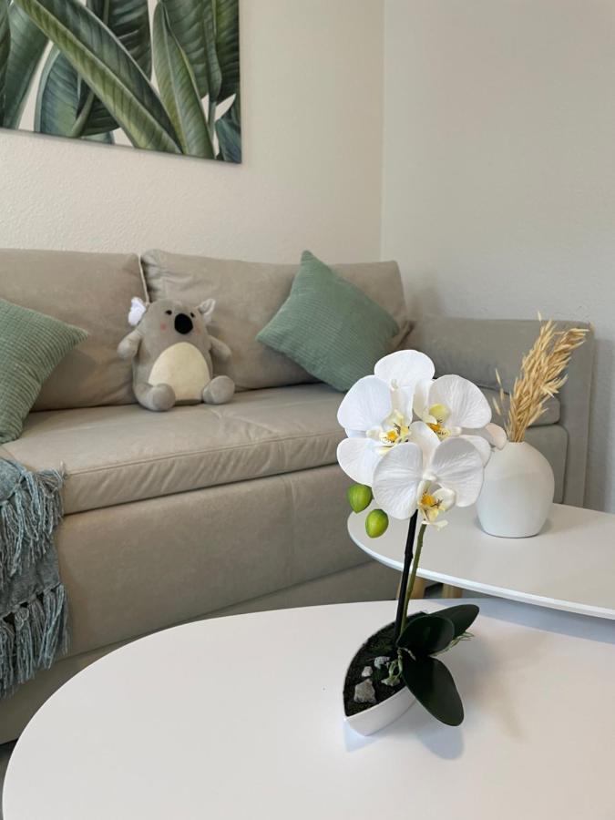 Lucky Stays Ls07 - Vollausstattung - Zentrum - Aufzug - Grosse Kueche - 2 Zimmer - Smart-Tv Magdeburg Luaran gambar
